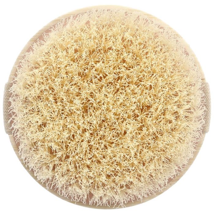 ايكوتولس فرشاة جافة للجسم 1 فرشاة EcoTools Dry Body Brush